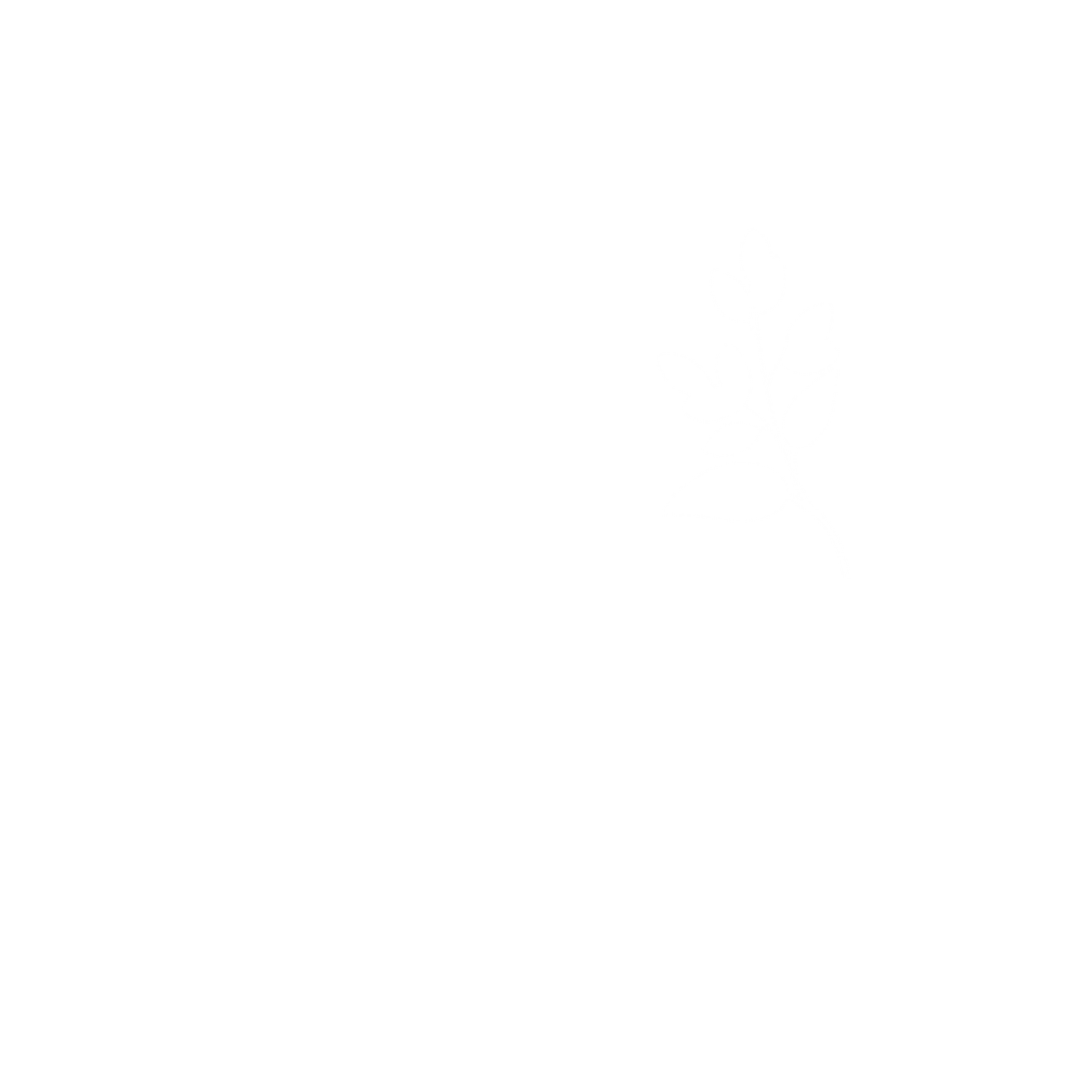 Wild Ground Collective