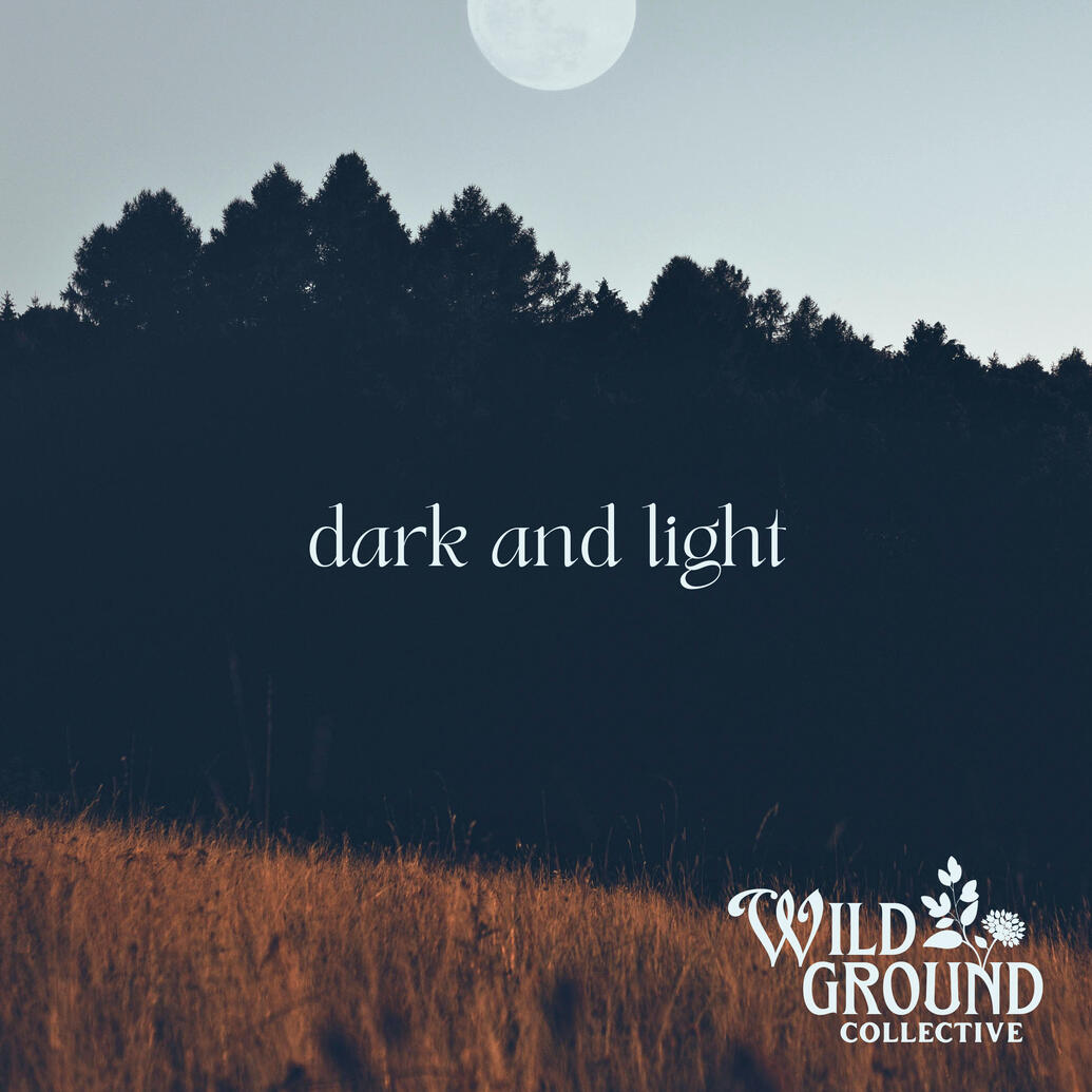 Wild Ground Collective